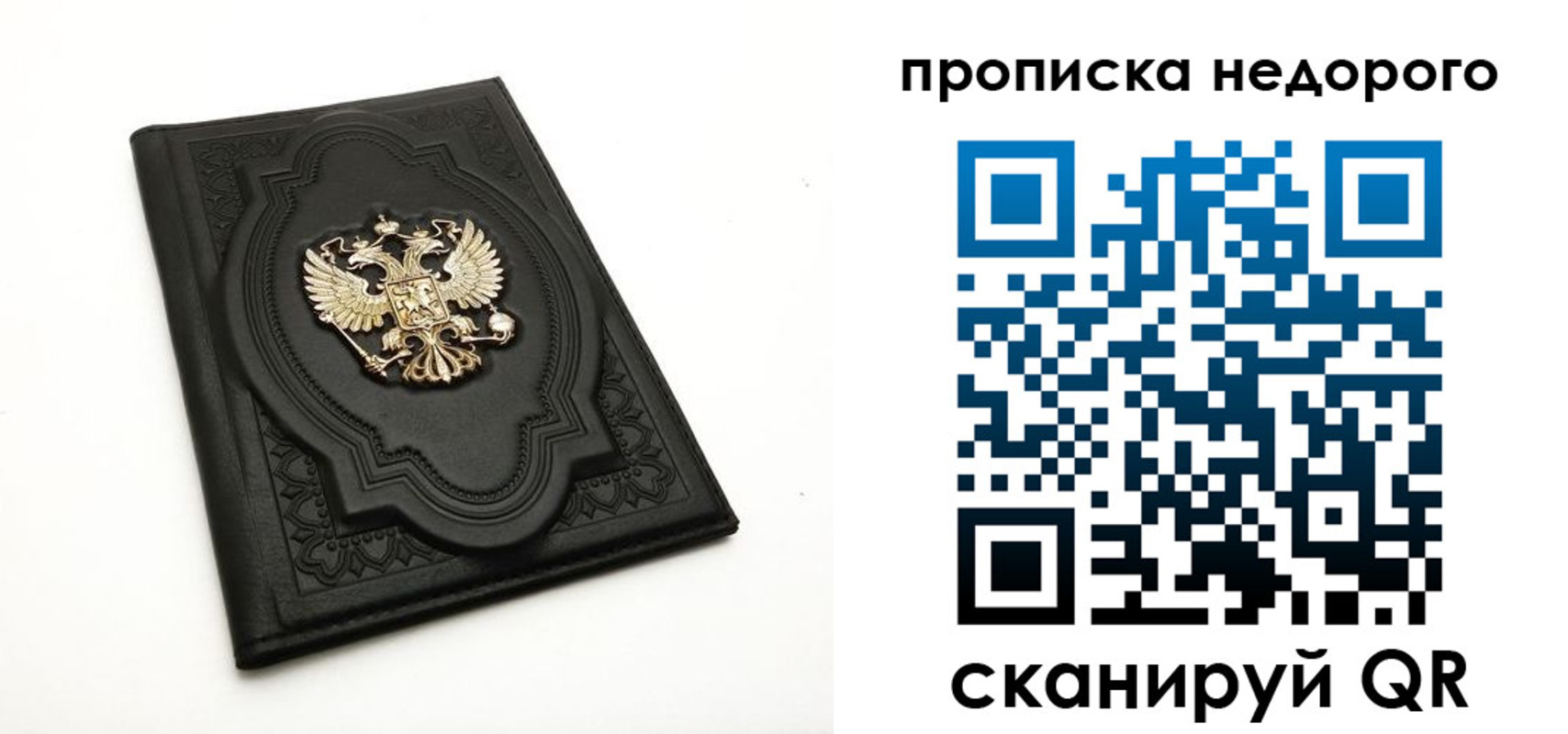 прописка для школы в Кировске